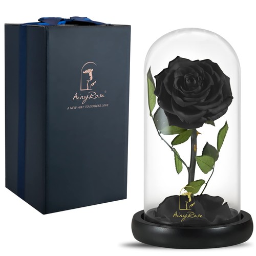 Real preserved black - real, rose