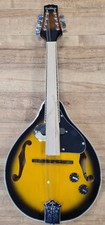Freshman M1E Chicago Sunburst