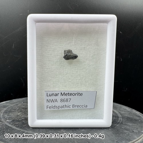 Lunar meteorite nwa 8687 - nwa,