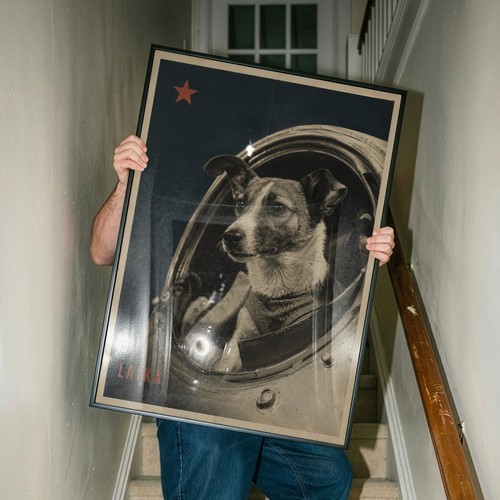 Laika vintage ussr - vintage,