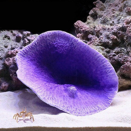 Artificial resin coral reef - artificial,