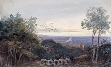 Sheep & Church In Landscape -