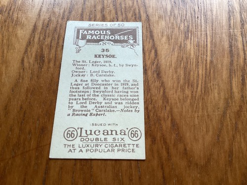 Sandorides lucana famous - sandorides,