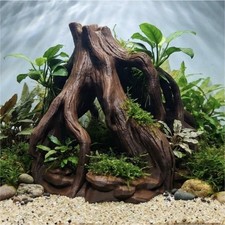 Terrarium tall mangrove - tall,