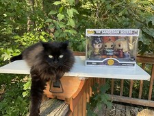 Funko Pop THE SANDERSON