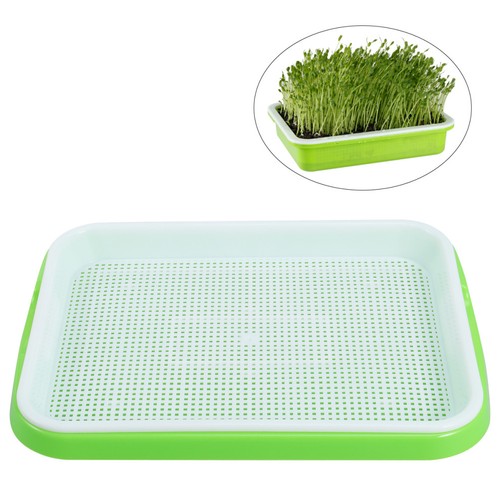 Tray growing - tray, for