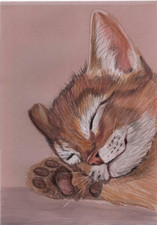 Original coloured pencil card