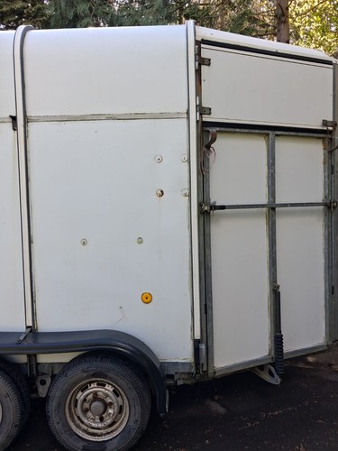 Ifor williams horse - horse, trailer