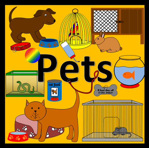 Pets topic educational - topic,