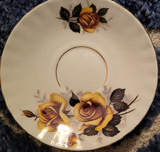 Queen Anne Yellow Hybrid Rose