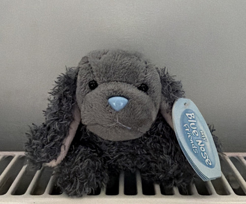 Blue nose friends - blue, bixie,