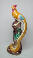 Long Tailed Cockerel ONAGADORI