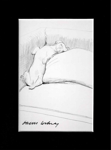 David hockney signed postcard - hockney,