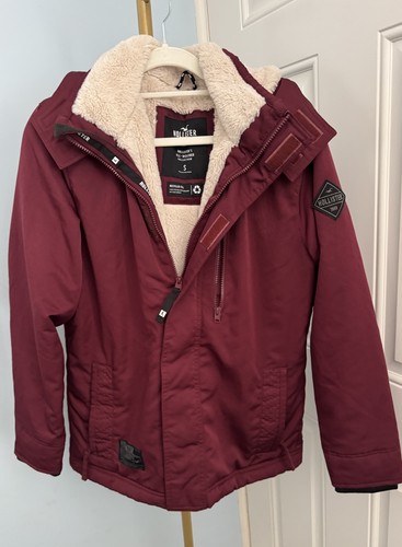 Hollister men plum - men’s,