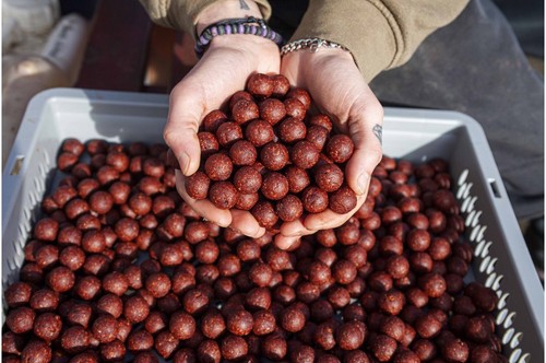 Nutrabaits 18mm soluble - nutrabaits,