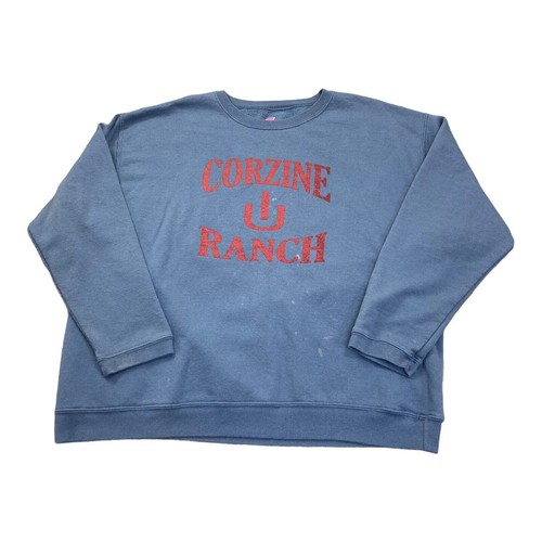 Hanes blue sweatshirt big logo - hanes,