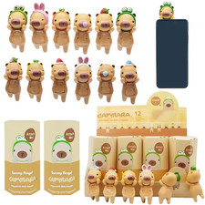 Blind Box Capybara Figure