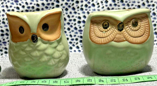 Vintage pair succulent - pair,