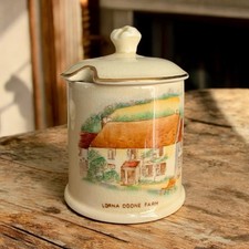 Vintage Crown Devon Lorna