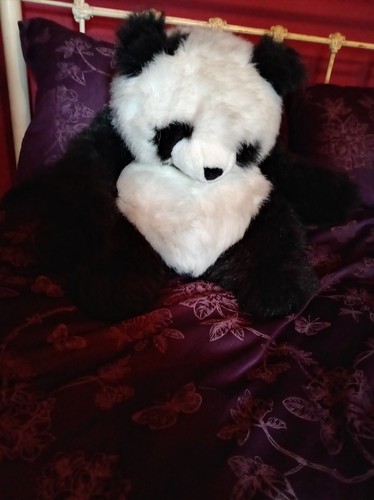 Born play giant - to, panda