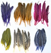 FLY TYING GUINEA FOWL QUILLS DYED AND NATURAL COLOUR,FLYTYING