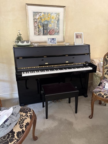 Weber upright piano - piano, keys
