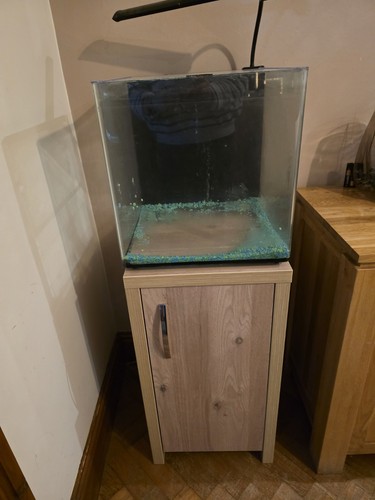 Aqua one fish tank and - fish,