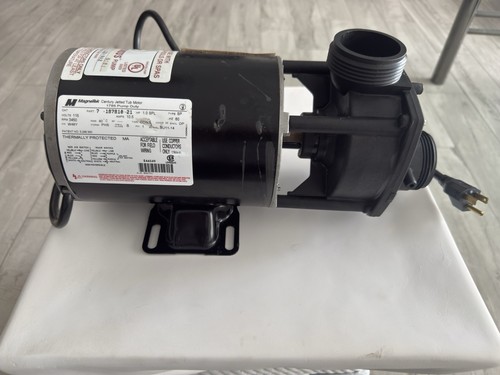 Magnetek pump for tub - for,