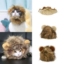 Lovely Creative Dog Hat Puppy