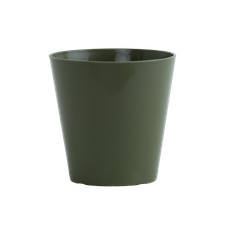 Colourful Plants Pots Indoor