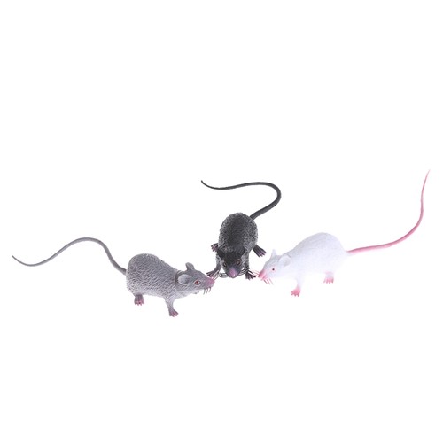 Christmas joke fake - christmas, mouse