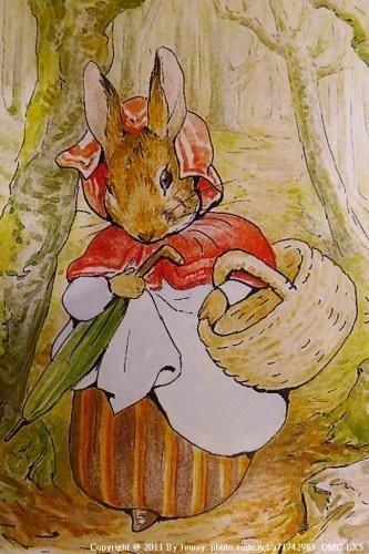 Beatrix potter cross - potter, (9)