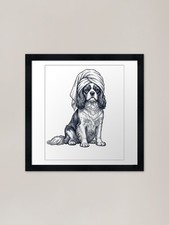 Cavalier King Charles Spaniel
