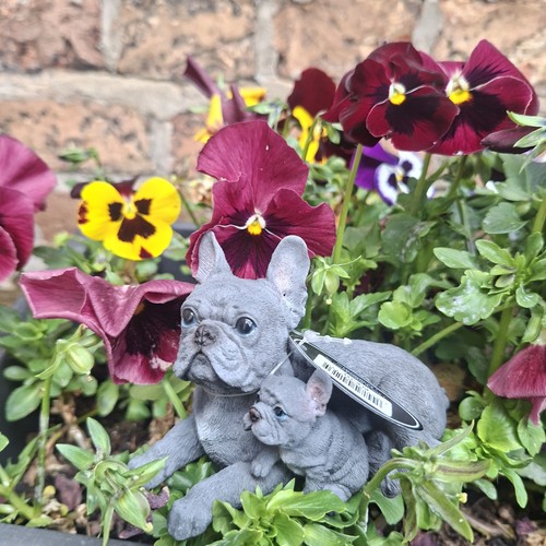 Vivid arts blue french - arts, bulldog