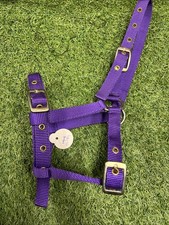 Foal Headcollar