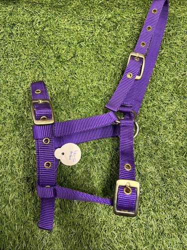 Foal headcollar - foal,