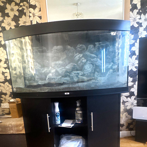 Bowfront glass fish tank - bowfront,
