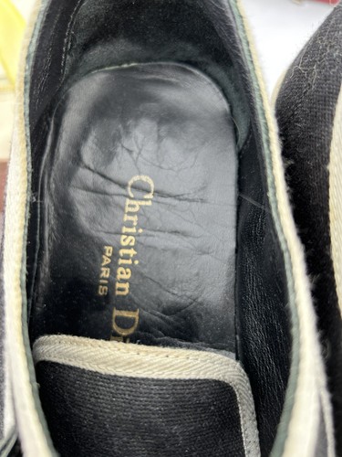 Dior walk canvas - dior,