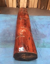 Snakewood Full Log / High