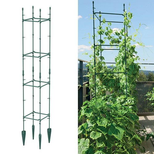 Plant support trellis ladder - plant,