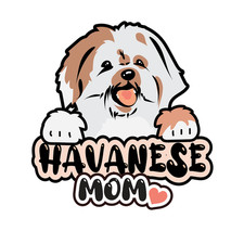 XXL Havanese Car Sticker Dog
