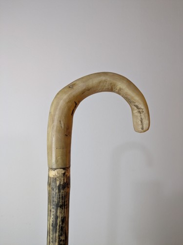 Shepherds crook rams - shepherds,