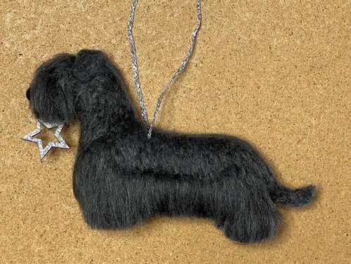 Grey cesky terrier with - grey,