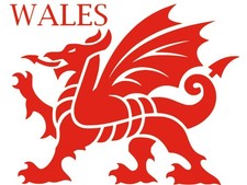 WELSH DRAGON STICKER/DECAL CAR / VAN / LORRY / Colour Size