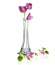 Clear Glass Heavy Single Stem