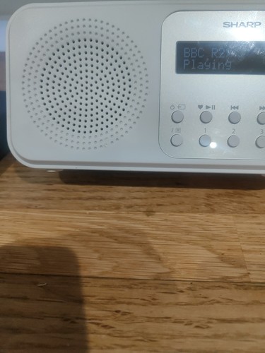 Sharp p420 portable - portable, digital