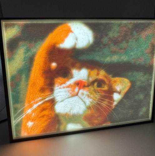 Custom colour lithophane photo - colour,