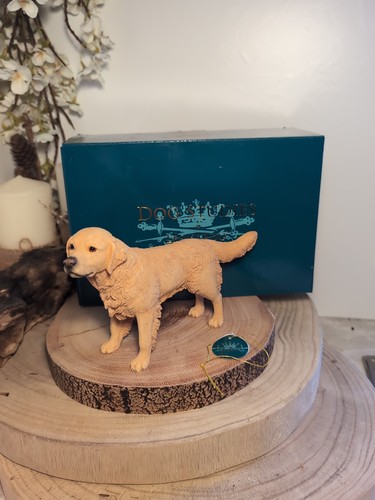 Leonardo dog studies golden - dog,