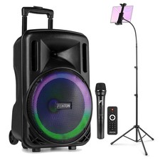 12" Karaoke Speaker System