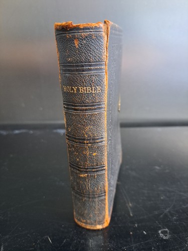 Holy bible leather - holy, with